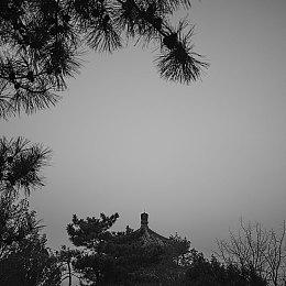 Steam明年1月起不再支持Win7＆win8＆win8.1 想玩就得升级